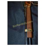 Henry Model Hoo4 Golden Boy Rifle