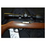 Ruger 10/22 Rifle