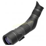 LEU SX2 ALPINE HD GEN2 20-60X60MM ANGLED