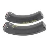 MAG RUGER BX-25 10/22 22LR 25RD 2-PK