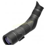 LEU SX2 ALPINE HD GEN2 20-60X60MM ANGLED