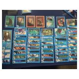 RARE Orignal ET Trading Card Lot w/Key Cards
