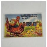 Vintage Rooster post card
