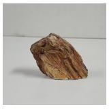 Petrified Pine Wood 25 million years old from