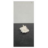 Vintage Murex Ramosus Sea Shell.