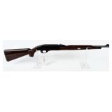 Remington Nylon 66 .22 LR Semi-Auto Rifle