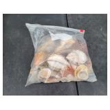 Large Bag of Assorted Shells