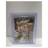 Swinub Pokï¿½mon Card