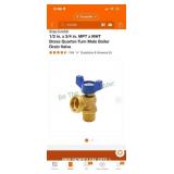 Boiler drain valves and hose bibb