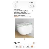 Wall hung toilet