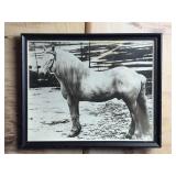Antique Framed Horse Portrait