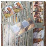 Lot of Stereo Photographs 3
