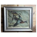 Framed Duck Art Print