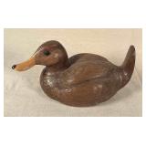 Brown Duck