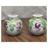Hand Painted Porcelain Salt and Pepper Shakers
