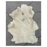 Sheep Skin with Wool