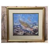 Framed Mark Sussimo Bass Fish Art Print