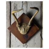 Whitetail Deer Antler Mount