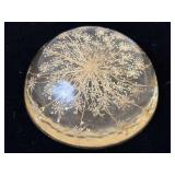 Resin Plant Paperweight