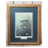 Framed Terry Doughty Black Crappies Fish Art Print