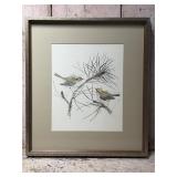 Framed Mads Stage Bird! Art Print