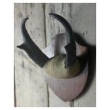 Antelope Antler Mount