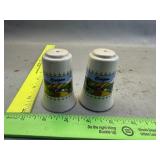 Oregon Salt And Pepper Shakers