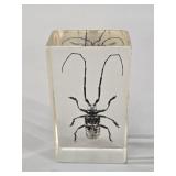 Real Longhorn Beetle in Lucite