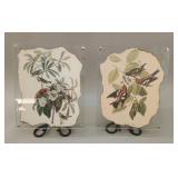Audubon Bird Lithographs in Glass Wall Mounts