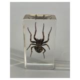 Orb Weaver Spider in Resin Block