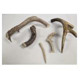 Natural Shed Deer & Elk Antler Pieces - Mixed Lot