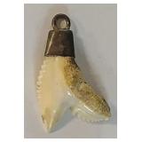Vintage Snaggletooth Shark Tooth Pendant