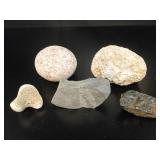 Natural History Fossil and Mineral Specimens