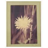 G. Winkler Limited Edition Flower Photograph, 1984