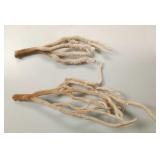 Natural Sea Sponge Specimen Pair