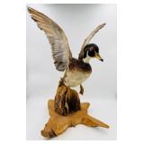 Wood Duck Taxidermy Mount
