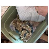 Christmas Decorations and Textiles