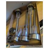 Solar-Powered Garden Lights