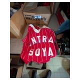 Vintage Central Soya Softball Uniform