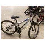 Giant Bike