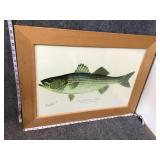 Signed Framed Wall Art