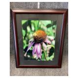 Purple coneflower wall Art