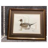 Framed Artwork pintail duck