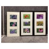 Framed botanical and floral photography prints.