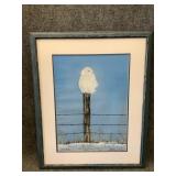 ' Winter wise Guy ï¿½ wall Art