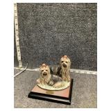 Giuseppe Armani Yorkshire Terrier