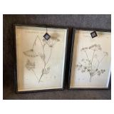 Floral Framed wall Art