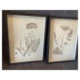 Framed floral wall Art