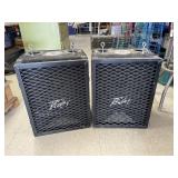 2 Peavey Speakers