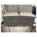 2 Collapsible Storage Boxes